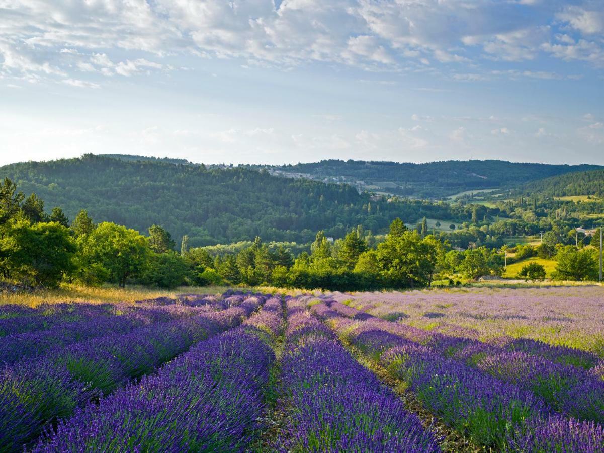 Le Jas De Verdolier Sault-de-Vaucluse Εξωτερικό φωτογραφία