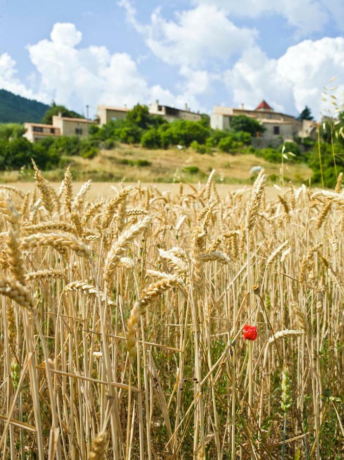 Le Jas De Verdolier Sault-de-Vaucluse Εξωτερικό φωτογραφία