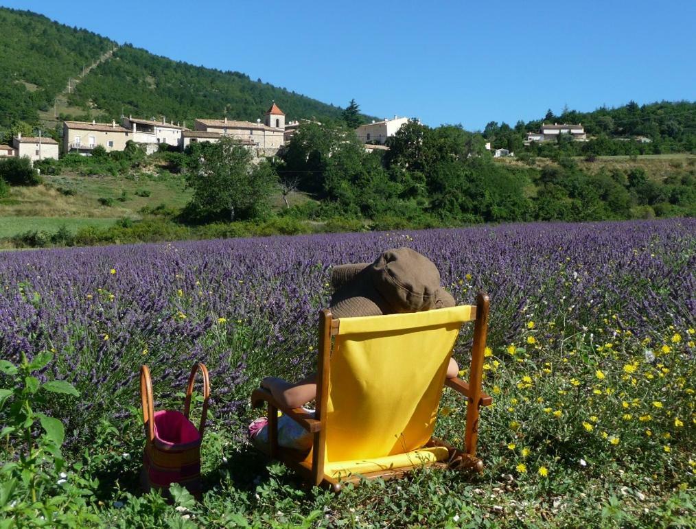 Le Jas De Verdolier Sault-de-Vaucluse Εξωτερικό φωτογραφία